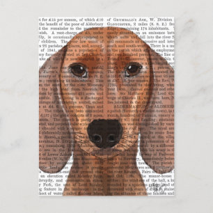 Dachshund Illustration Plain Vykort