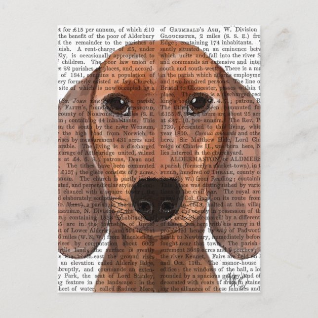 Dachshund Illustration Plain Vykort (Framsida)