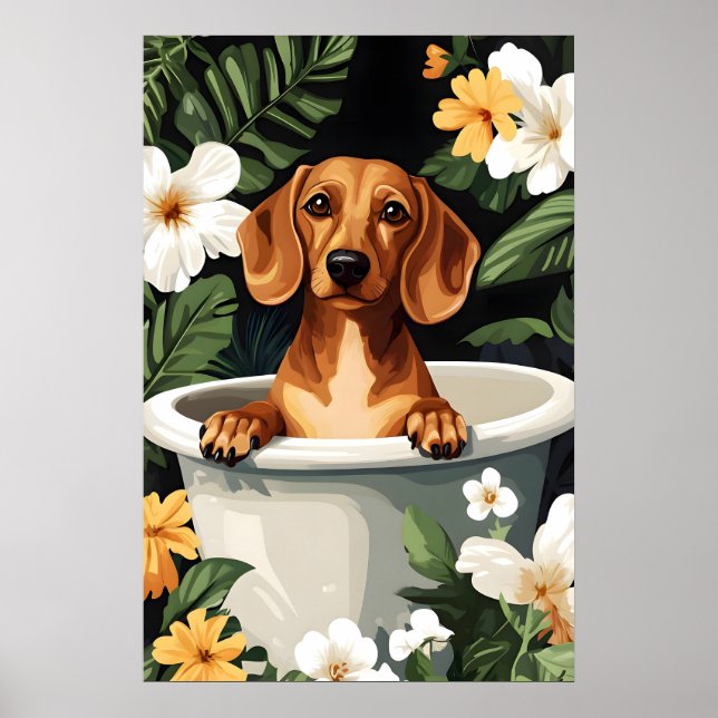Dachshund In Bathtub Poster, Funny Dog Poster (Framsidan)