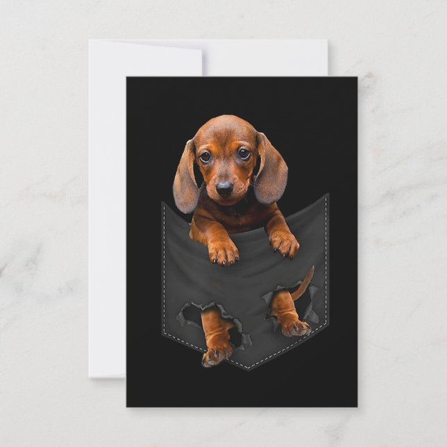 Dachshund in my Pocket Dachshund Weiner Hund Gift OSA Kort (Framsida)