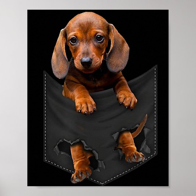 Dachshund in my Pocket Dachshund Weiner Hund Gift Poster (Framsidan)