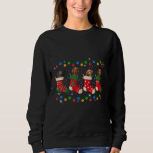 Dachshund in Socks jul Light Hund älskare T Shirt