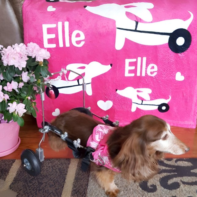 Dachshund IVDD Rosa av rullstolsWiener Hund Blanke Fleecefilt (Wheelie dachshund gift - cozy pink personalized wheelchair cart blanket)