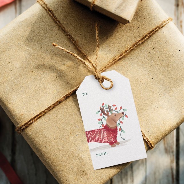 Dachshund Jul Hund Mysigt sötare med Ljus Presentetikett (Dachshund Christmas Dog Cozy Sweater With Lights Gift Tags)