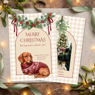 Dachshund Jul Lång Väntan Graviditets Foto Julkort