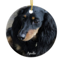 Dachshund jul Ornament Anpassningsbar Photo
