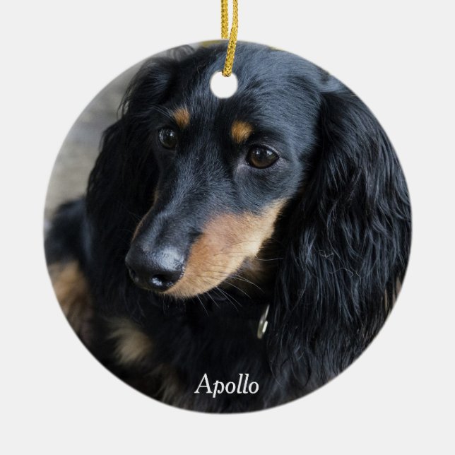 Dachshund jul Ornament Anpassningsbar Photo (Framsidan)