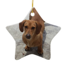 Dachshund jul Ornament Star Anpassningsbar