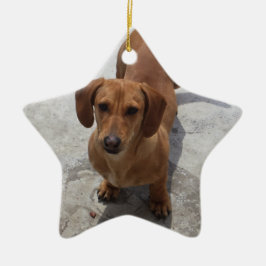 Dachshund jul Ornament Star Anpassningsbar