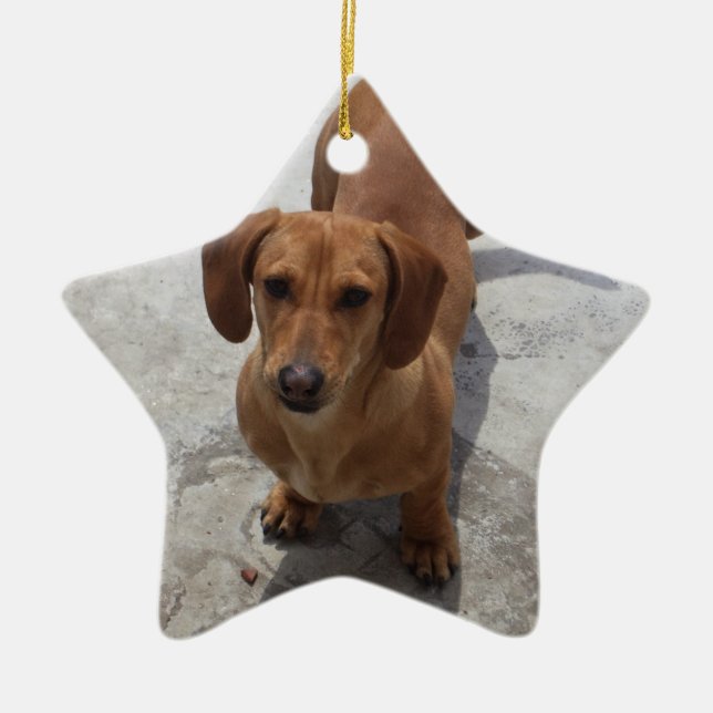 Dachshund jul Ornament Star Anpassningsbar (Framsidan)