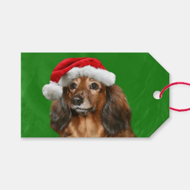 Dachshund jul presentetikett (Framsidan (Horisontell))