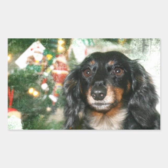 Dachshund jul rektangulärt klistermärke (Framsida)