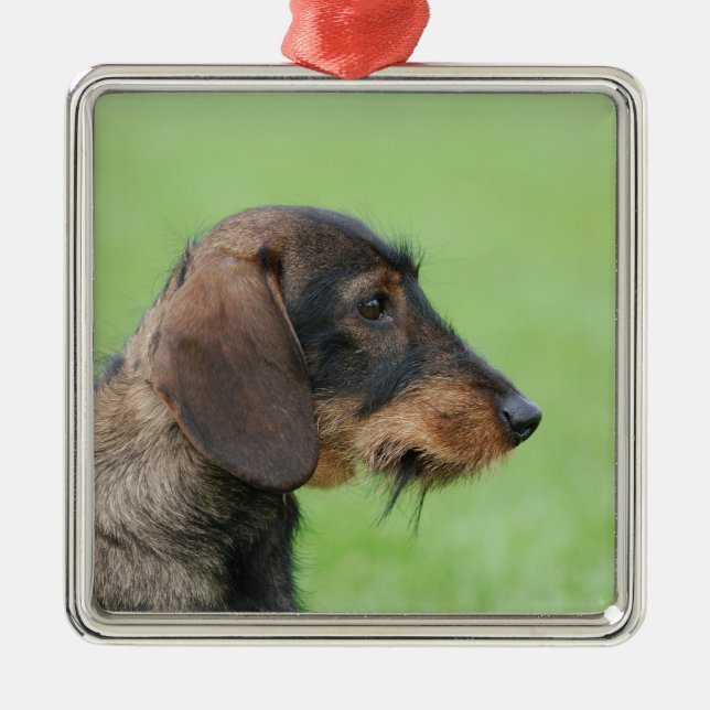 Dachshund Julgransprydnad Metall (Framsidan)