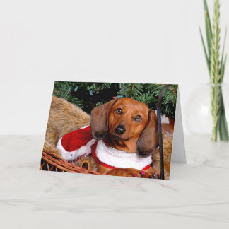 Dachshund-julkort Helgkort