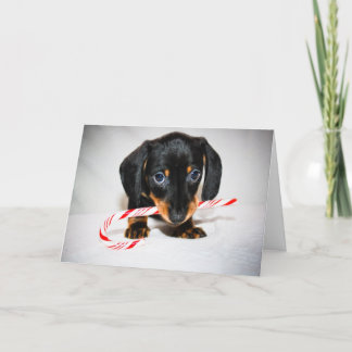 Dachshund-julljokertecken Helgkort