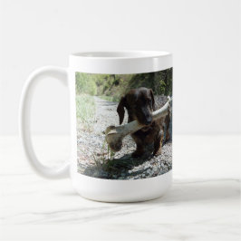 Dachshund Kaffemugg