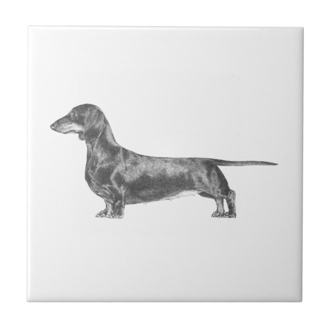 Dachshund Kakelplatta (Framsidan)