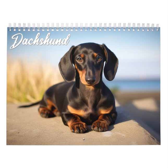 Dachshund Kalender (Omslag)