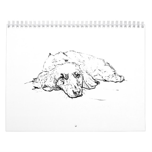 Dachshund-kalender, Wiener Dog Väggpresent Kalender (Omslag)