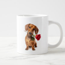 Dachshund Kärlek