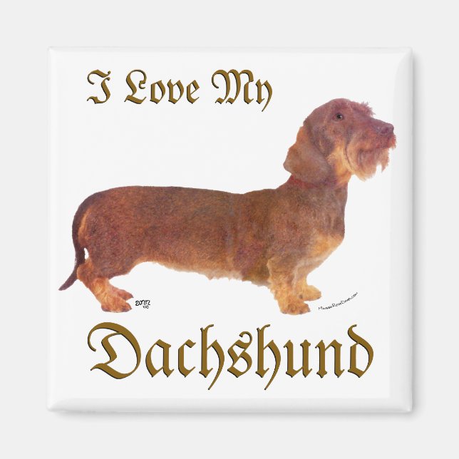 Dachshund Kärlek Magnet (Framsidan)