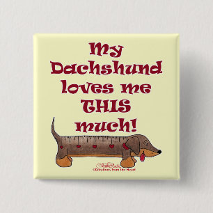 Dachshund Kärlek Meter Knapp