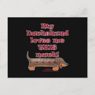 Dachshund Kärlek Meter Vykort