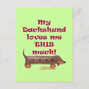 Dachshund Kärlek Meter Vykort