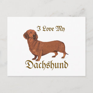 Dachshund Kärlek Vykort