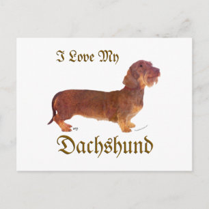 Dachshund Kärlek Vykort