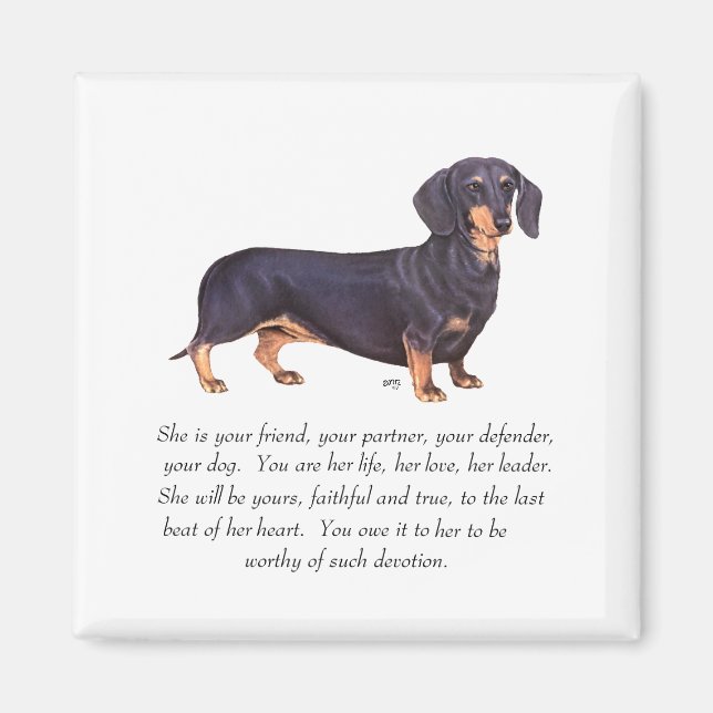 Dachshund KeepVII - Female Magnet (Framsidan)