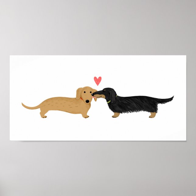 Dachshund Kiss med hjärta Poster (Framsidan)
