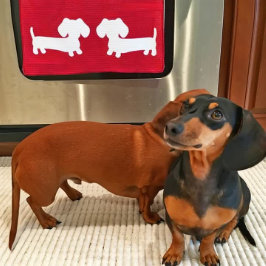 Dachshund Kitchen Dish Towel Waffle Kökshandduk