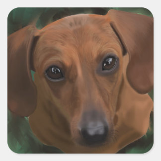 Dachshund-klistermärken Fyrkantigt Klistermärke