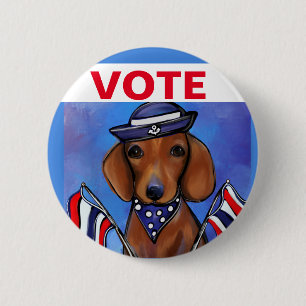 Dachshund      knapp