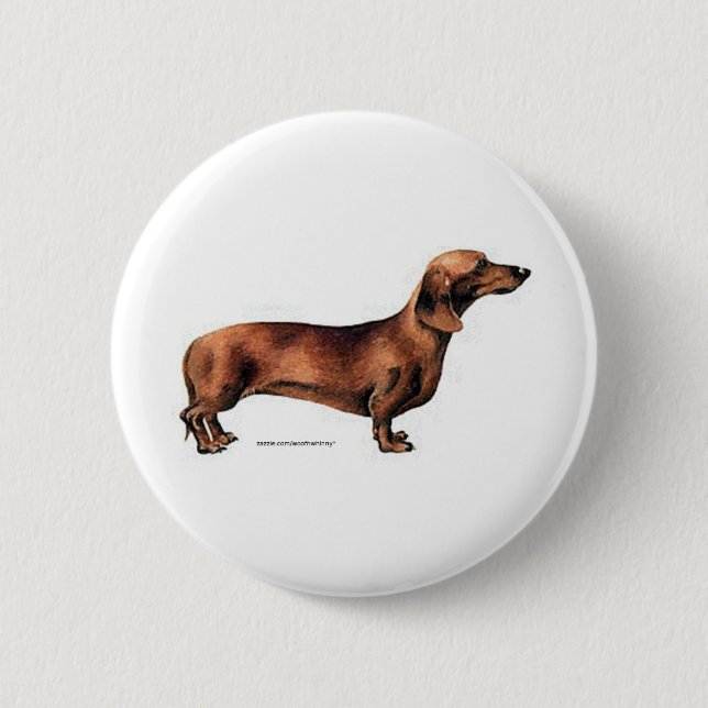 Dachshund Knapp (Framsida)