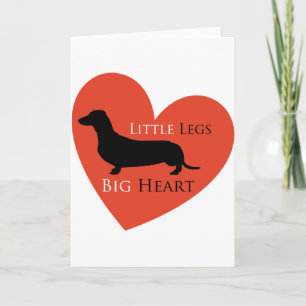 Dachshund Kort