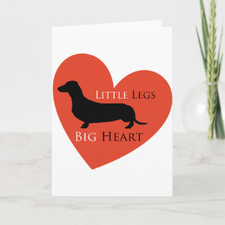 Dachshund Kort