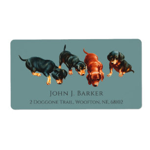 Dachshund Korv Hund Wiener Valpar Skifferblå Fraktsedel