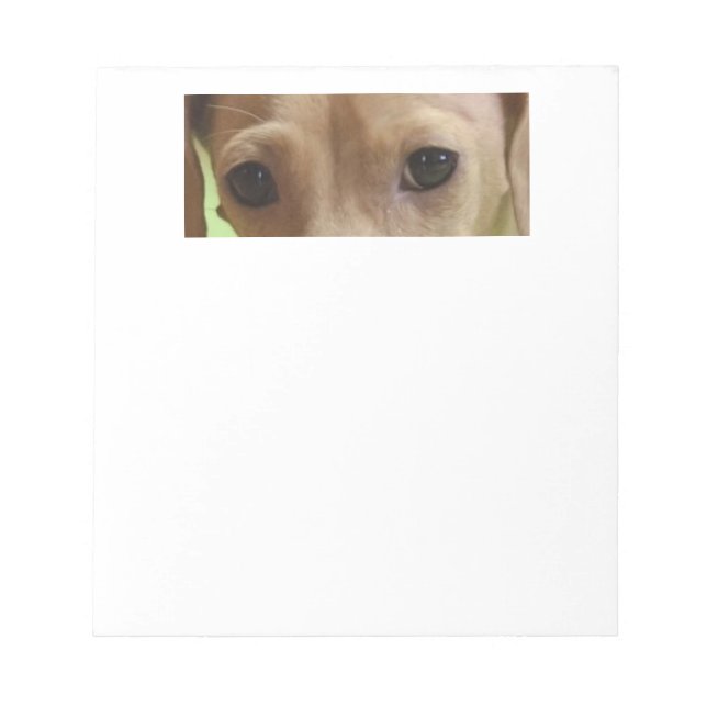 Dachshund kräm ögon anteckningsblock (Framsida)