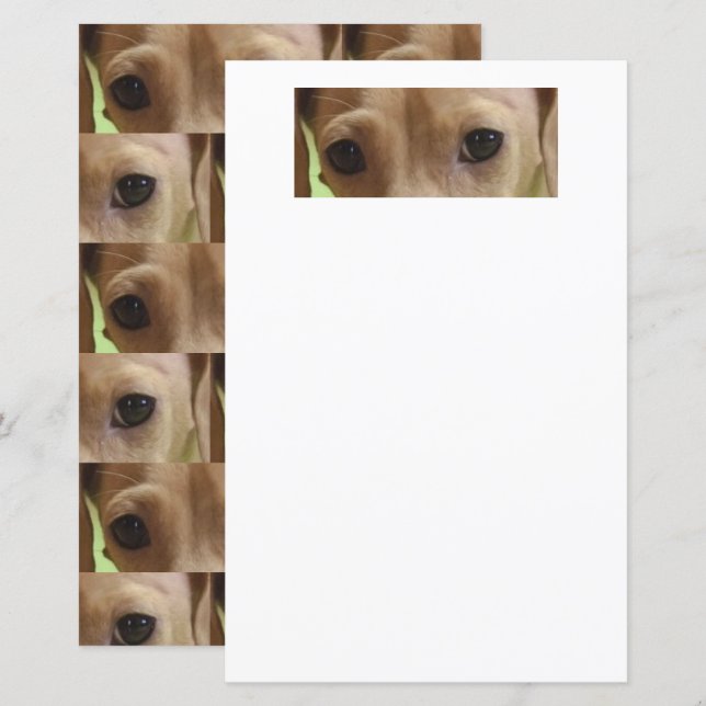 dachshund kräm ögon scrapbookpapper (Fram/baksida)