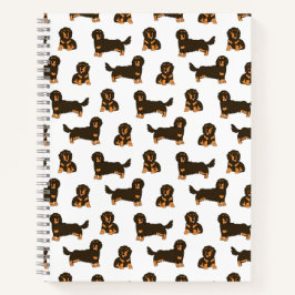 Dachshund, långdragen