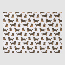Dachshund, långdragen