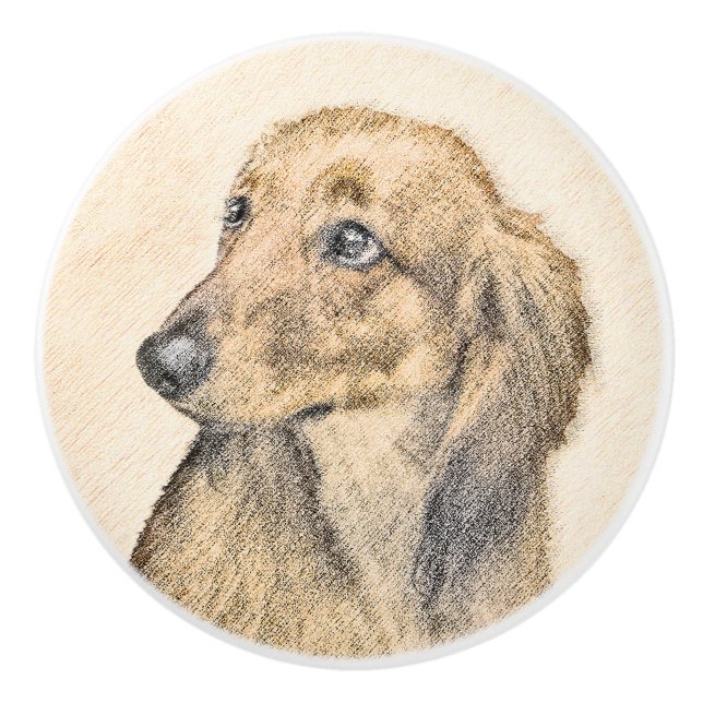 Dachshund (Långhårig) - Original Hund Art Knopp (Framsidan)