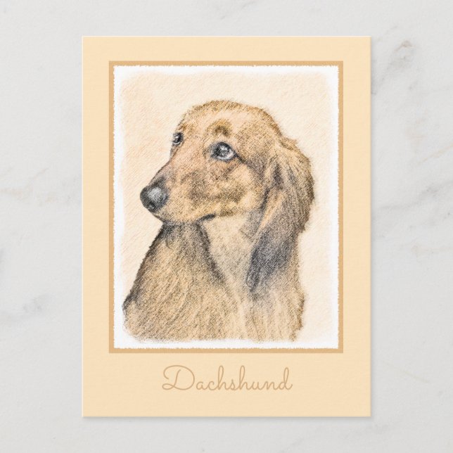 Dachshund (Långhårig) - Original Hund Art Vykort (Framsida)