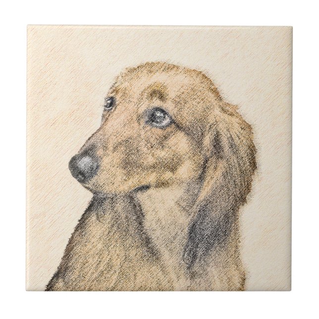Dachshund (Långhårigare) - originalbild Kakelplatta (Framsidan)