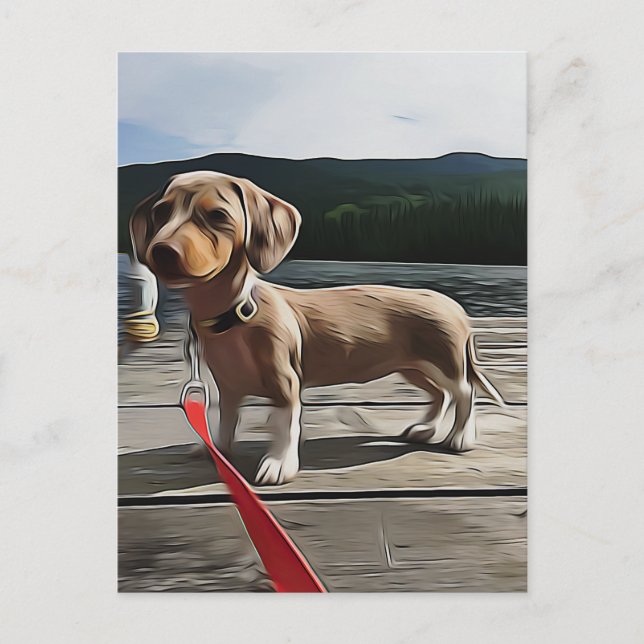 Dachshund-livet är bättre med en Dachshund-födelse Vykort (Framsida)