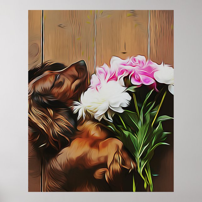 Dachshund Ljugande på trä Golv Poster (Framsidan)