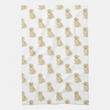 Dachshund (Long-Hoved, Cream Fawn Tan)