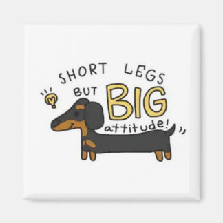 Dachshund Magnet